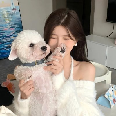 哈兰·科本的庇护所